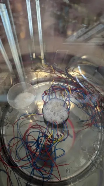EM lab bench test with wired coil submerged in beaker
